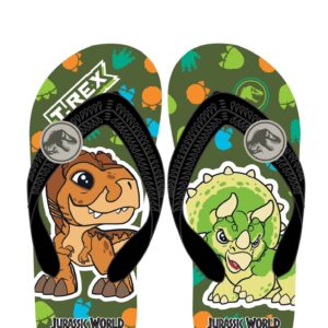 JW027 Boy&Girl's flip-flops shoes Jurassic brand Size 7.5-8.5