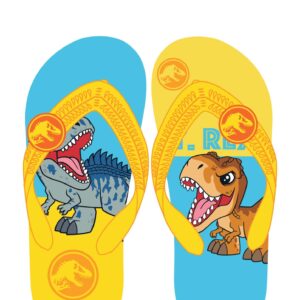 JW026 Boy&Girl's flip-flops shoes Jurassic brand Size 7.5-8.5