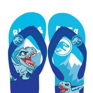 JW025 Boy&Girl's flip-flops shoes Jurassic brand Size 7.5-8.5